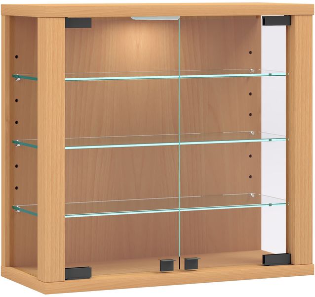 VCM Hängevitrine Wandvitrine Hängevitrine Glasvitrine Vitrosa günstig online kaufen