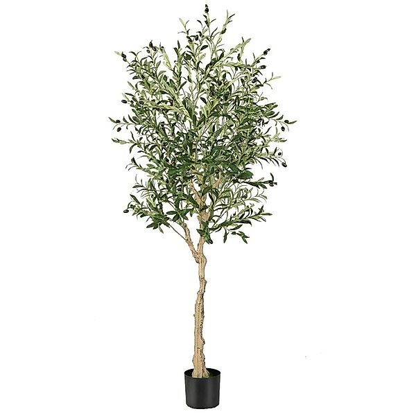 Costway Künstliche Olivenbaum mit Blättern & 72 Früchten Grün 180 cm günstig online kaufen