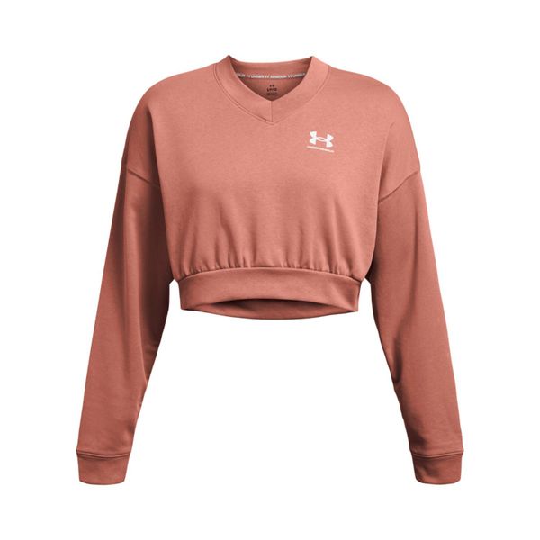 Under Armour® Kapuzenpullover Under Armour Damen günstig online kaufen
