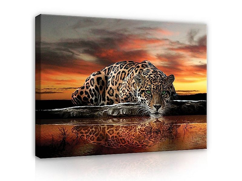 Wallarena Leinwandbild Tiger Tiere Afrika Natur Orange Modern Bild XXL Lein günstig online kaufen