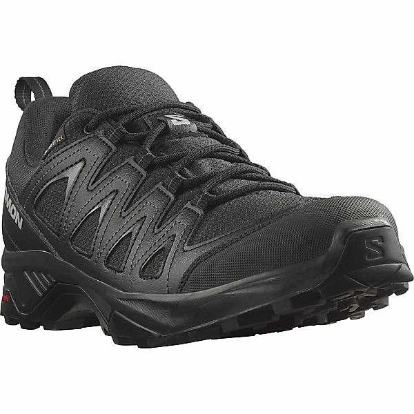 Salomon Wanderschuh "X BRAZE GORE-TEX", wasserdicht günstig online kaufen