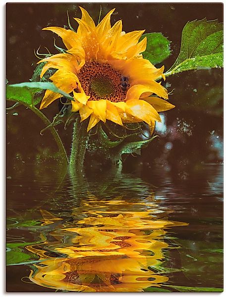 Artland Wandbild Sonnenblume, Blumen (1 St), günstig online kaufen