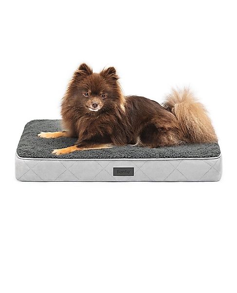 lionto Tierkissen lionto orthopädisches Hundebett, für günstig online kaufen
