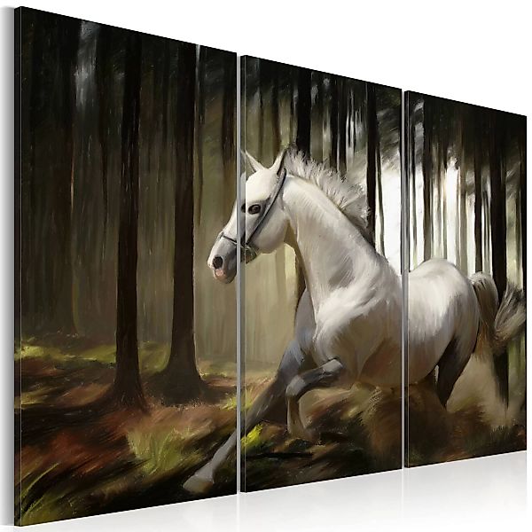 Wandbild - Weißes Pferd im dunklen Wald günstig online kaufen