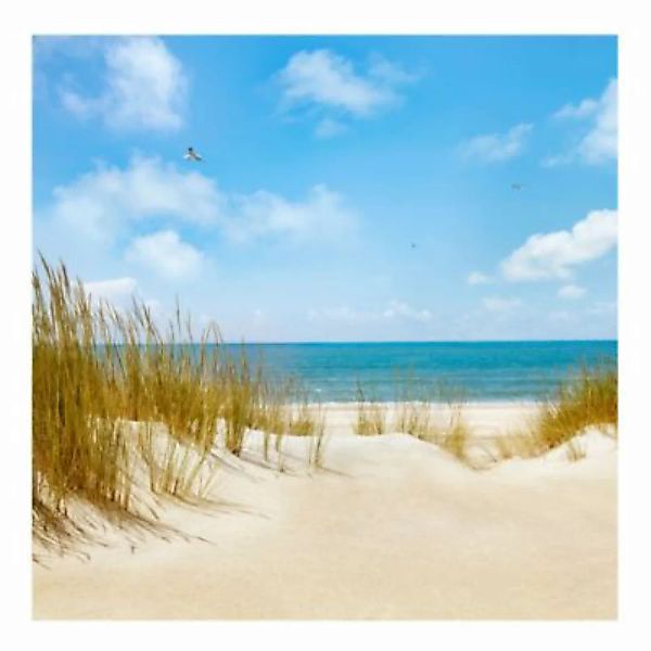Bilderwelten Fototapete Strand Strand an der Nordsee creme Gr. 288 x 288 günstig online kaufen