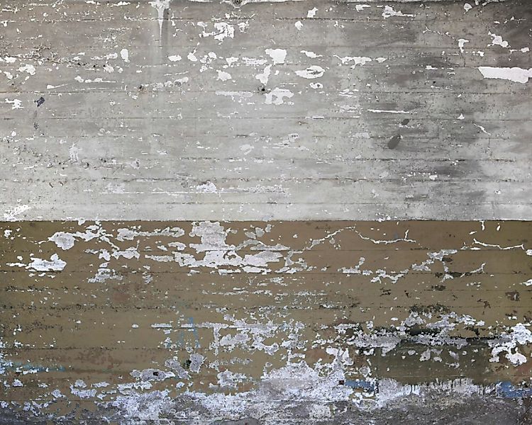 Fototapete "Betonmalerei" 3,50x2,55 m / Glattvlies Perlmutt günstig online kaufen
