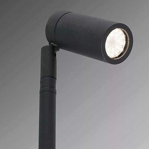 60 cm hoher LED-Erdspießstrahler Seth-60 günstig online kaufen