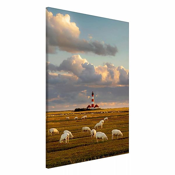 Magnettafel - Hochformat 3:4 Nordsee Leuchtturm mit Schafsherde günstig online kaufen