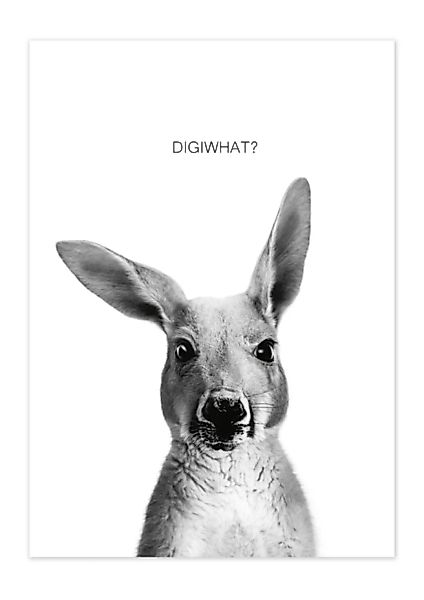 Poster Animal Kangaroo Matt günstig online kaufen