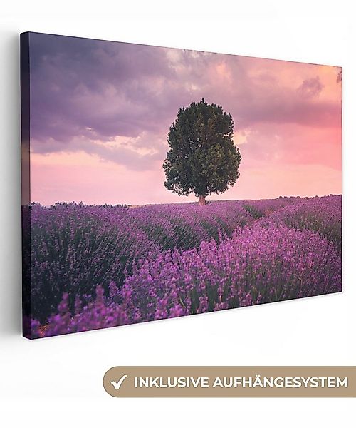 OneMillionCanvasses® Leinwandbild Lavendel - Blumen - Lila - Baum - Natur, günstig online kaufen