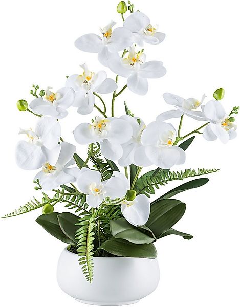 Kunstorchidee Orchidee Phalaenopsis, Creativ green, Höhe 55 cm, mit Farnzwe günstig online kaufen