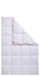 RIBECO Gänsedaunenbettdecke + Kopfkissen "Kalle" pflegeleicht günstig online kaufen