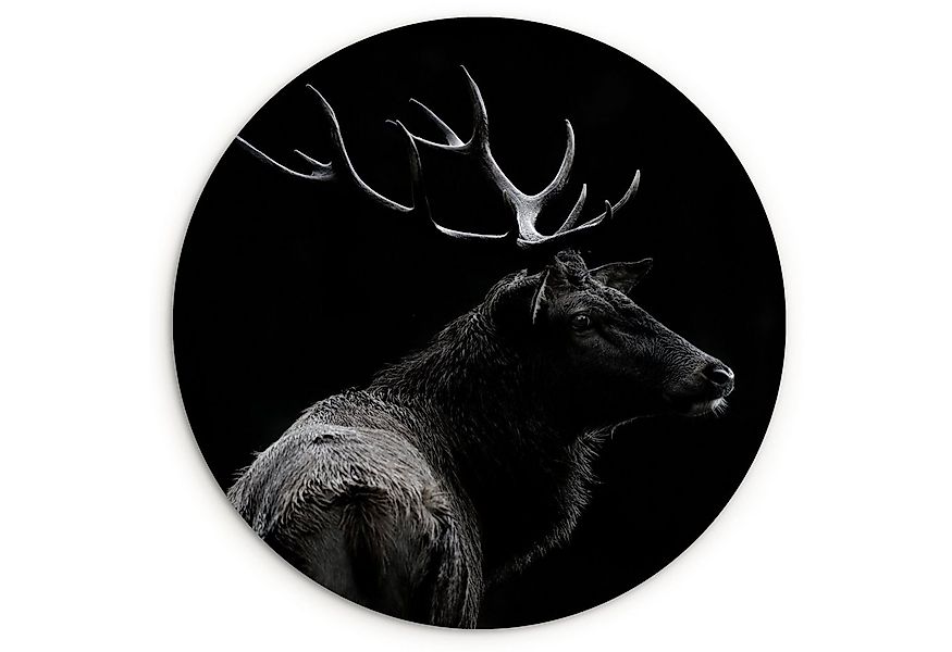 MuchoWow Gemälde Hirsch - Schwarz - Porträt - Geweih - Tiere, Fotodruck (1 günstig online kaufen