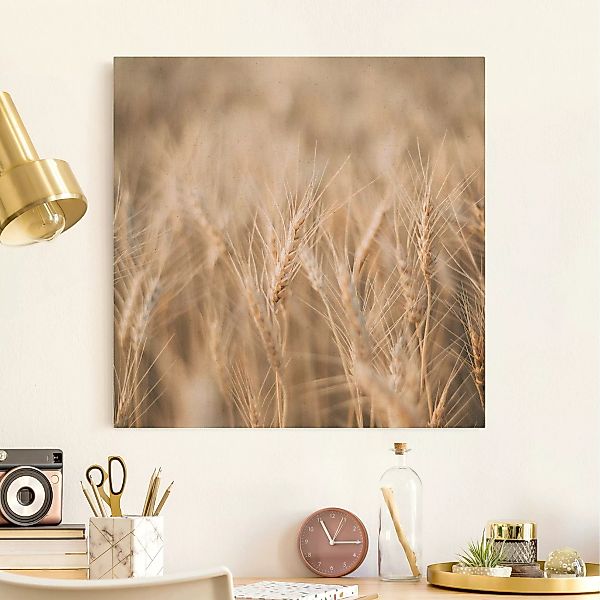 Leinwandbild auf Naturcanvas Weizenfeld günstig online kaufen