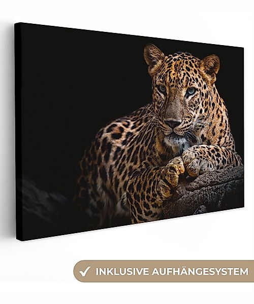 OneMillionCanvasses® Leinwandbild Wildtiere - Panther - günstig online kaufen