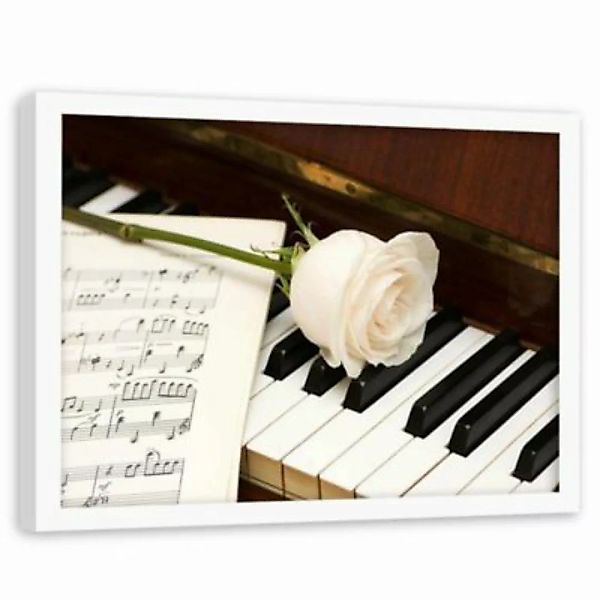 FEEBY® Kunst weiße Rose auf dem Klavier Leinwandbilder bunt Gr. 90 x 60 günstig online kaufen