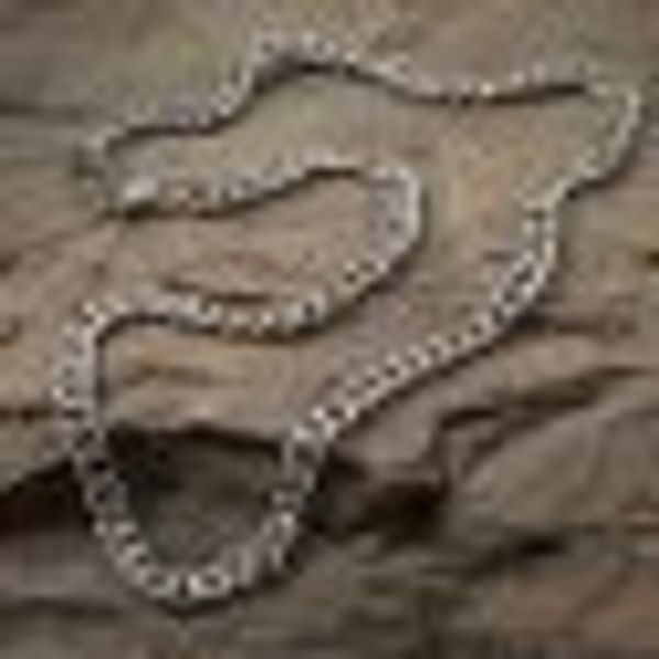 Herren-Gliederkette Titan günstig online kaufen