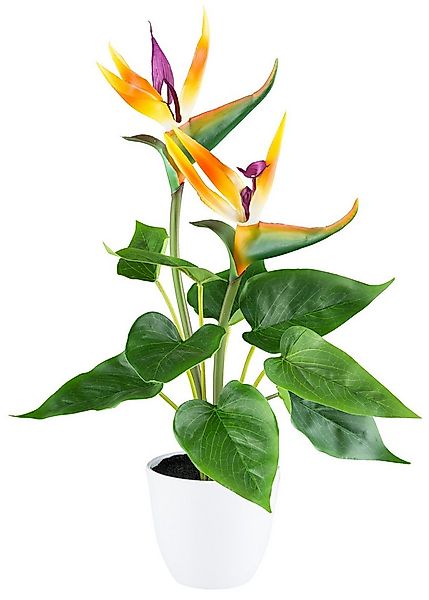 Kunstpflanze Strelitzia, Creativ green, Höhe 42 cm, mit 2 Blüten günstig online kaufen