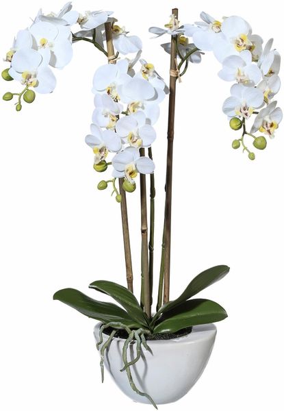 Kunstpflanze Mini Orchidee, Creativ green, Höhe günstig online kaufen