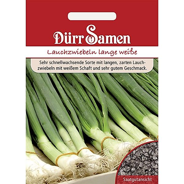 Dürr Samen Lauchzwiebeln Lange Weiße Kaigaroo Saatgut günstig online kaufen