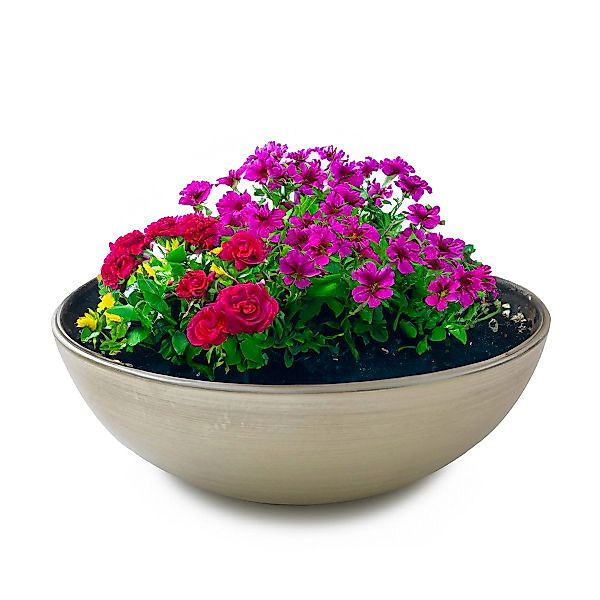 matches21 HOME & HOBBY Blumentopf Pflanzschale günstig online kaufen