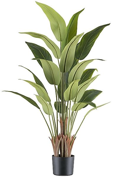 Kunstpflanze Strelitzia reginae, Creativ green, Höhe 120 cm, mit tollem Bla günstig online kaufen