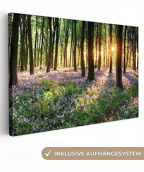 OneMillionCanvasses® Leinwandbild Wald - Blumen - Lavendel - Sonne - Lila - günstig online kaufen