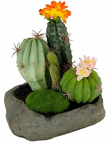 Kunstpflanze Kakteen Kakteen, I.GE.A., Höhe 19 cm günstig online kaufen