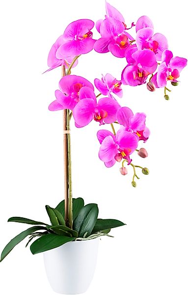 Kunstorchidee Orchidee Phalaenopsis, Creativ green, Höhe günstig online kaufen