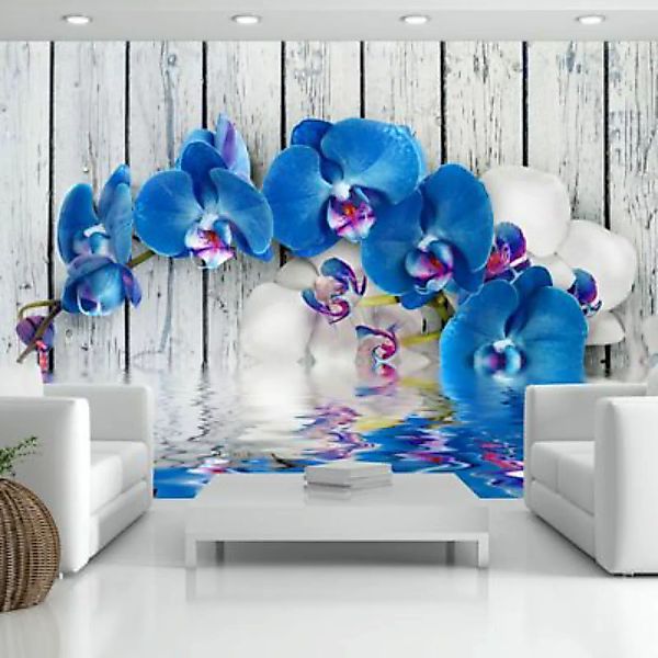 artgeist Fototapete Cobaltic orchid blau/weiß Gr. 250 x 175 günstig online kaufen