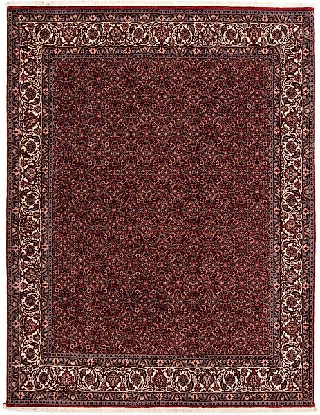 morgenland Orientteppich »Perser - Bidjar - 254 x 198 cm - dunkelrot«, rech günstig online kaufen
