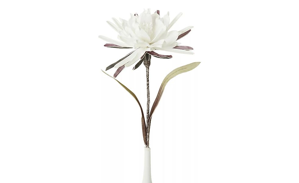 Soft Flower Kaktusblüte ¦ weiß ¦ Kunststoff, Metall ¦ Maße (cm): H: 90 Acce günstig online kaufen