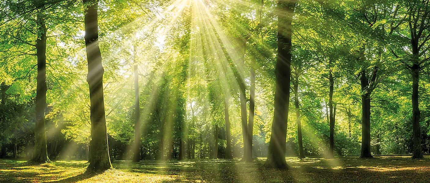 Bönninghoff Leinwandbild Sonnenstrahl, (1 St) günstig online kaufen