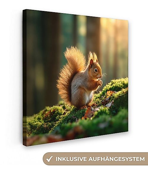 OneMillionCanvasses® Leinwandbild Eichhörnchen - Nuss - Gras, Fotodruck (1 günstig online kaufen