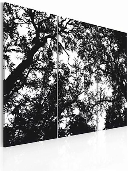 artgeist Wandbild Dichter Wald schwarz/weiß Gr. 60 x 40 günstig online kaufen