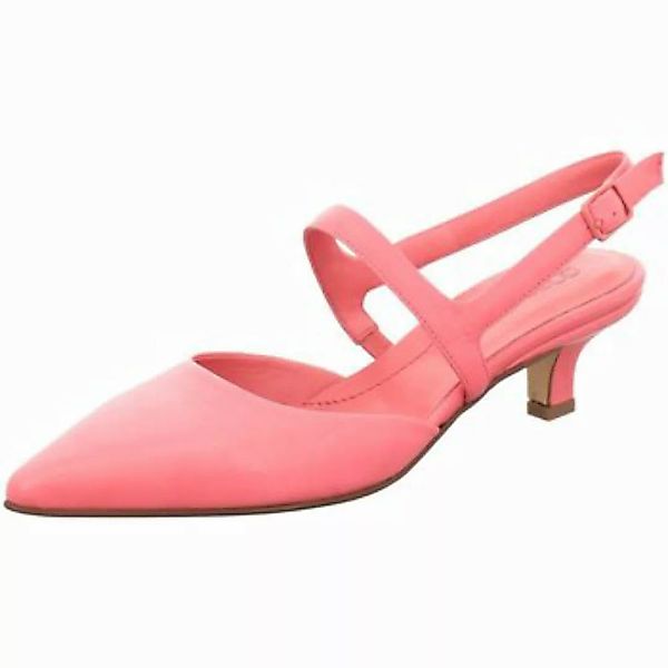 Pomme D'or  Pumps Premium 4813-bubblegum günstig online kaufen