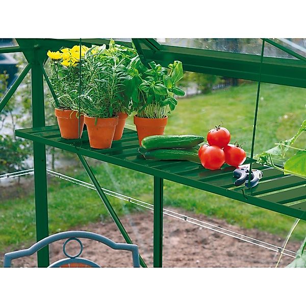 Vitavia Wandregal, grün, BxT: 120x31 cm günstig online kaufen