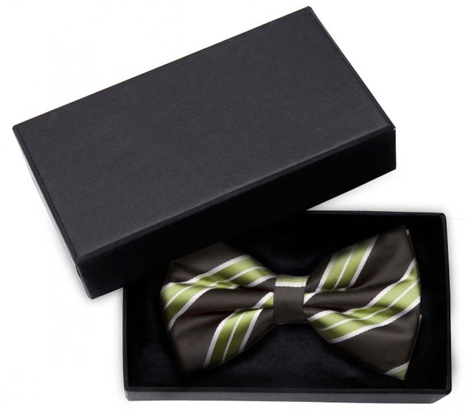 Fabio Farini Fliege Herren Fliegen Farbton günstig online kaufen