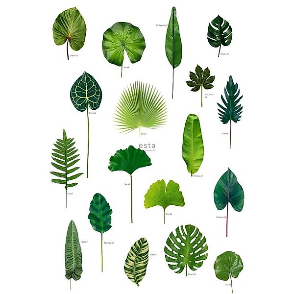 ESTAhome Fototapete Tropische Dschungelblätter Dschungelgrün 200 x 279 cm 1 günstig online kaufen