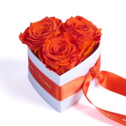 Kunstblume Rosenbox Herz 3 Infinity Rosen günstig online kaufen