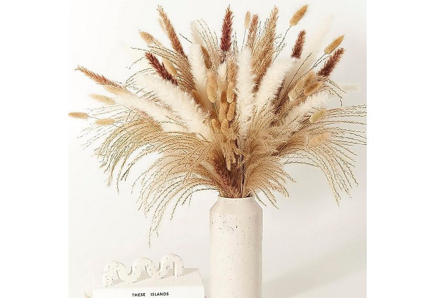 Trockenblume Pampasgras Trockenblumen Deko,75 Stück Pampasgras Getrocknet B günstig online kaufen