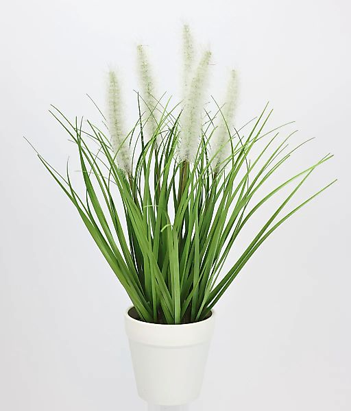 Kunstpflanze Fuchsschwanzgras im Topf, I.GE.A., Höhe 35 cm günstig online kaufen