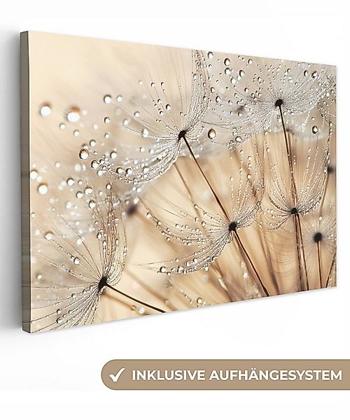 OneMillionCanvasses® Leinwandbild Löwenzahn - Abstrakt - Natur - Beige, Fot günstig online kaufen