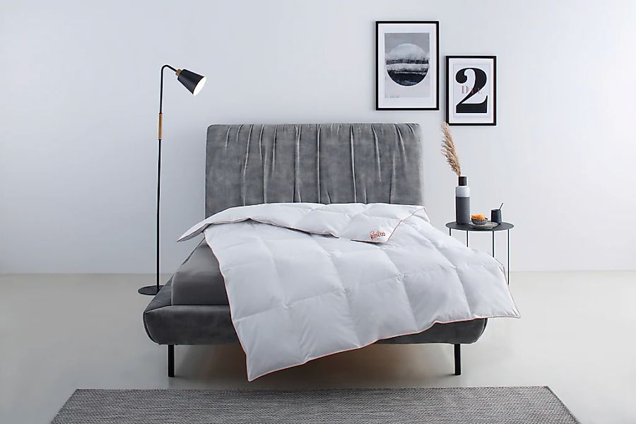 RIBECO Daunenbettdecke "Richard, Bettdecken für Sommer oder Winter, Made in günstig online kaufen
