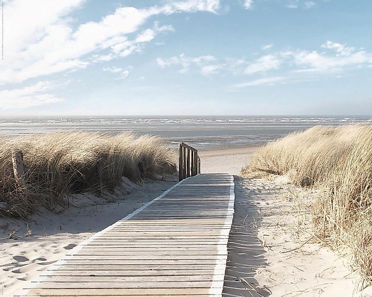 Reinders! Deco-Panel Nordsee Dünen günstig online kaufen