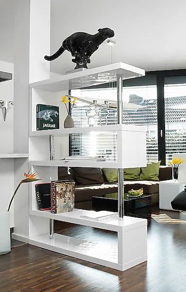 SalesFever Raumteilerregal, 2-in-1 Raumteiler: Stilvolles Regal mit Hochgla günstig online kaufen