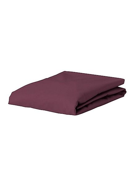 Essenza Spannbettlaken Premium Percale, Perkal, Gummizug: rundum, (1 Stück) günstig online kaufen