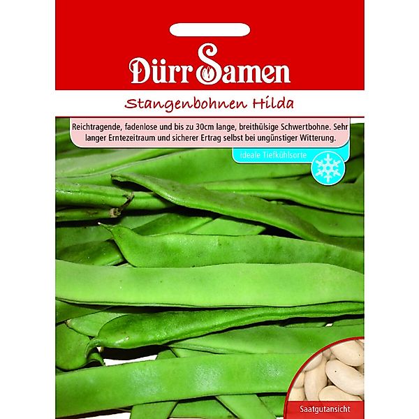 Dürr Samen Stangenbohnen Hilda Saatgut günstig online kaufen