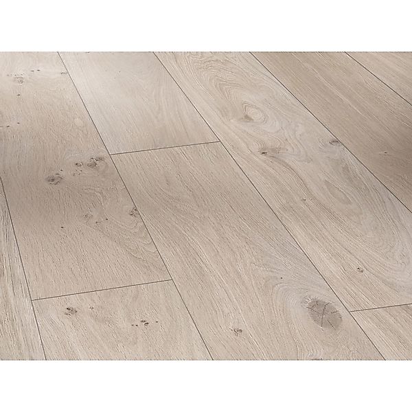 Parador Basic 400 Laminat 8 mm Wasserfest Eiche Natur Grau günstig online kaufen