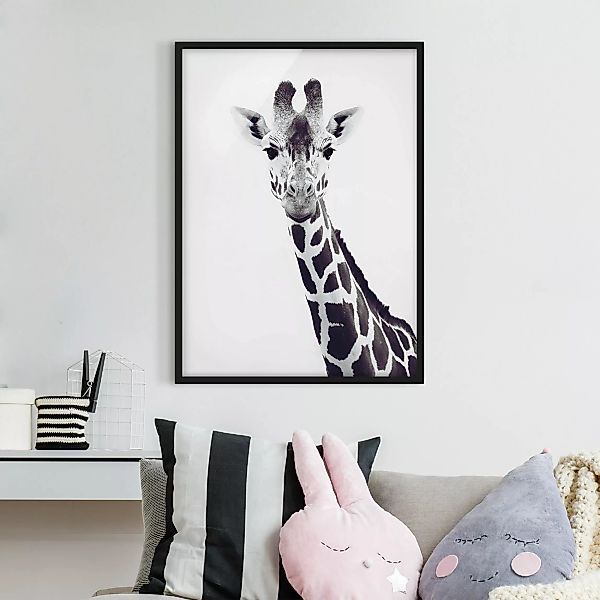 Bild mit Rahmen Giraffen Portrait in Schwarz-weiß günstig online kaufen